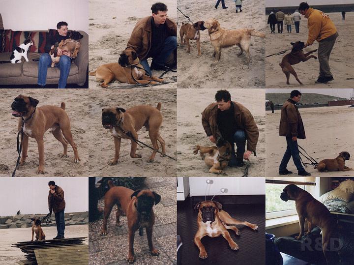 Spock Dagje Strand.jpg - Lekker met Demi naar Scheveningen